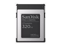 SanDisk PRO-CINEMA - Flash-muistikortti - 320 Gt - CFexpress Type B SDCFEC-320G-GN4NN