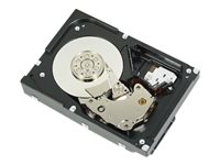 Dell - Asiakaspaketti - kiintolevyasema - 2 Tt - sisäinen - 3.5" - SATA 6Gb/s - 7200 kierrosta/min malleihin PowerEdge T130 (3.5"), T330 (3.5"), T430 (3.5") 400-AUST