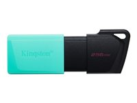 Kingston DataTraveler Exodia M - USB Flash-asema - 256 Gt - USB 3.2 Gen 1 DTXM/256GB