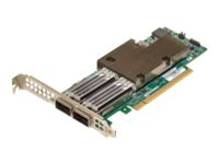 Broadcom NetXtreme E-Series P2100G - Verkkosovitin - PCIe 4.0 x16 matala profiili - 100 Gigabit QSFP56 x 2 BCM957508-P2100G