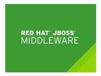 JBoss Data Grid for xPaaS - Standarditilaus (1 vuosi) - 2 ydintä - isännöity MW00095