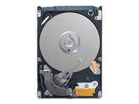 Dell - Kiintolevyasema - 2 Tt - hot-swap - 3.5" - SAS 12Gb/s - nearline - 7200 kierrosta/min malleihin PowerEdge T330 (3.5"), T430 (3.5") 400-AUUQ