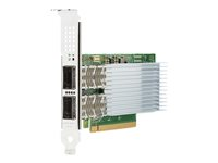 Intel E810-CQDA2 - Verkkosovitin - PCIe 4.0 x16 - 100 Gigabit QSFP28 x 2 malleihin Edgeline e920; ProLiant DL325 Gen10, DL345 Gen10, DL360 Gen10, DL380 Gen10, DL385 Gen10 P21112-B21