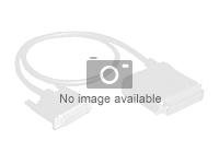 HPE Fanout Cable - Ulkoinen SAS-kaapeli - 4-linjaa - 36 pin 4x Mini SAS HD (SFF-8644) (uros) to 36 pin 4x Mini SAS HD (SFF-8644) (uros) - 1 m malleihin Modular Smart Array 1040 K2Q99A